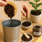 Coffee grounds being repurposed into beauty scrubs, garden fertilizer, and household cleaning solutions